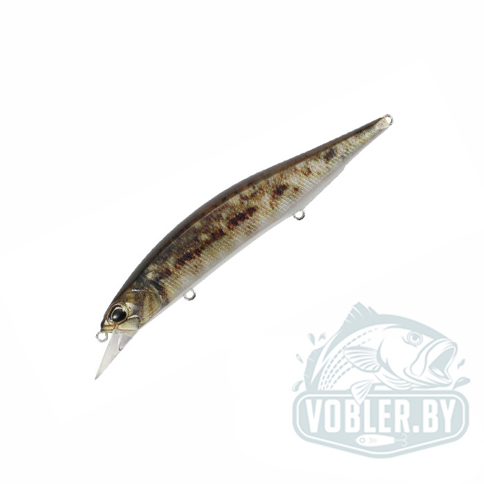 Воблер DUO Realis Jerkbait 120SP - Цвет CCCZ103 Goby ND
