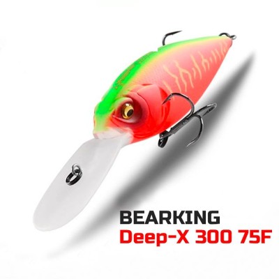 Bearking Deep-X 300 75F