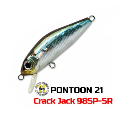 Pontoon 21 Crack Jack 98SP-SR