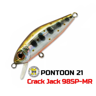 Pontoon 21 Crack Jack 98SP-MR