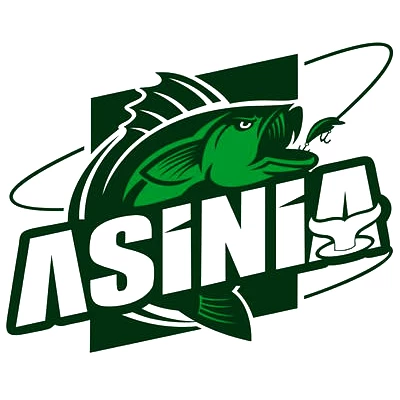 Воблеры ASINIA