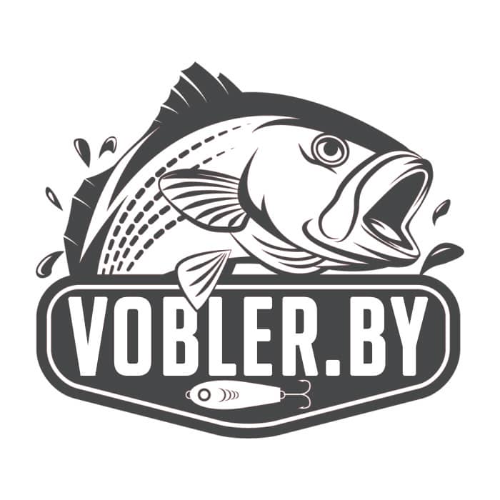 Логотип Vobler.BY